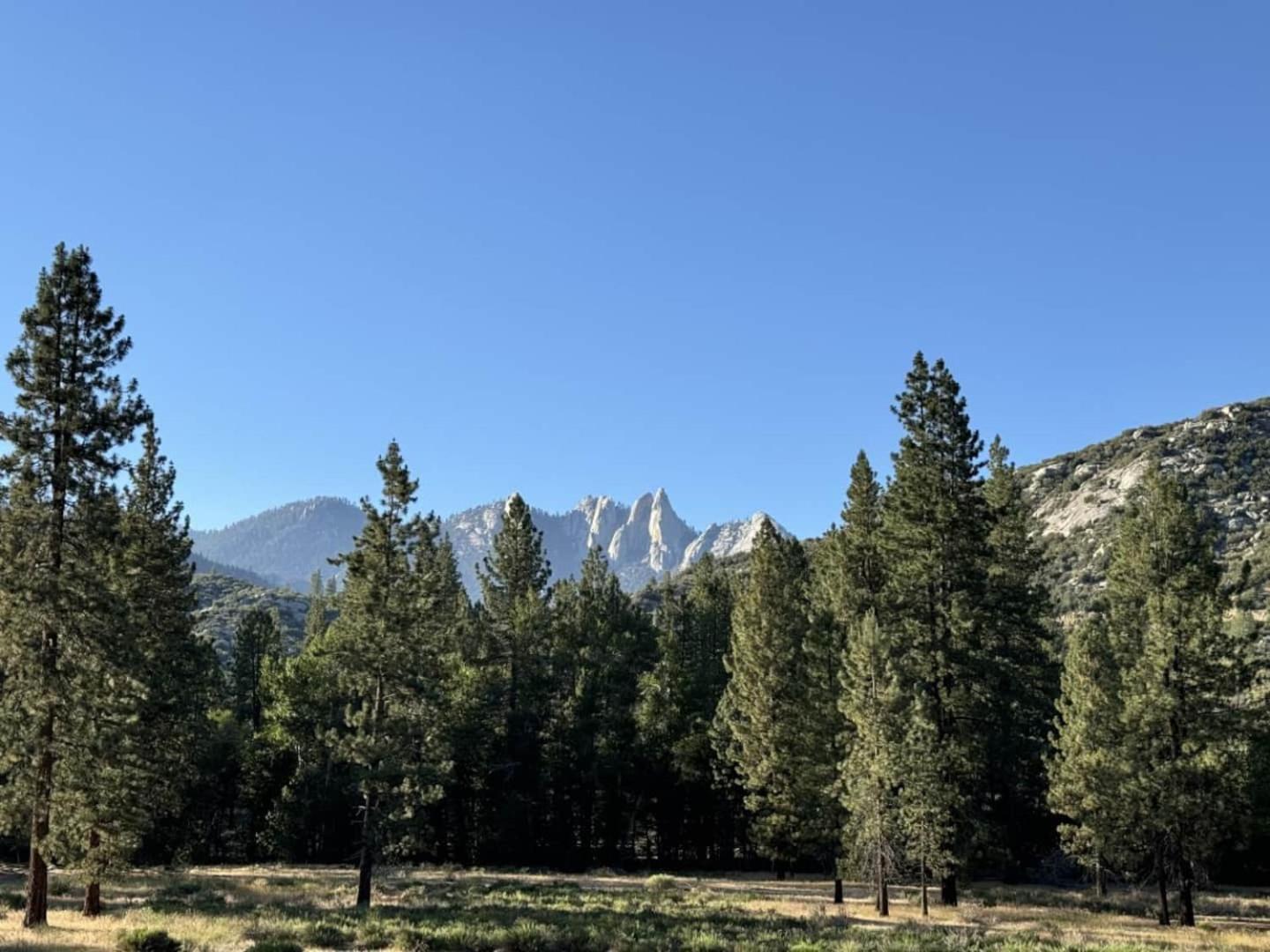 Peppermint Falls Ranch Ponderosa Exterior foto